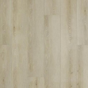 Alloc Champs Elysees Alloc Champs Elysees